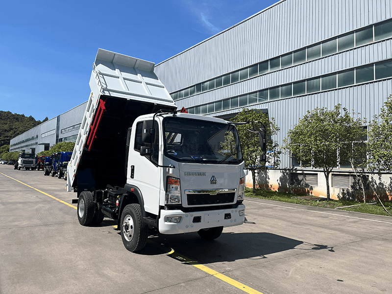 Howo 4x2 Light Duck Truck-10